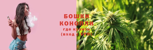 прущий лед Бородино