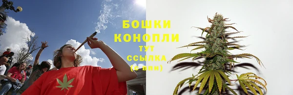 шишки Бугульма