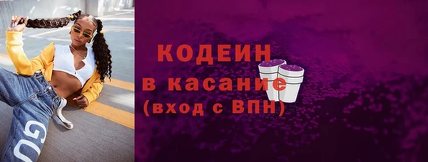 прущий лед Бородино