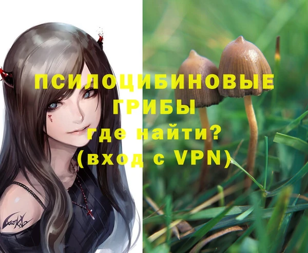 шишки Бугульма