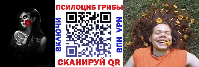 площадка Telegram  Нерчинск  Псилоцибиновые грибы Psilocybe 